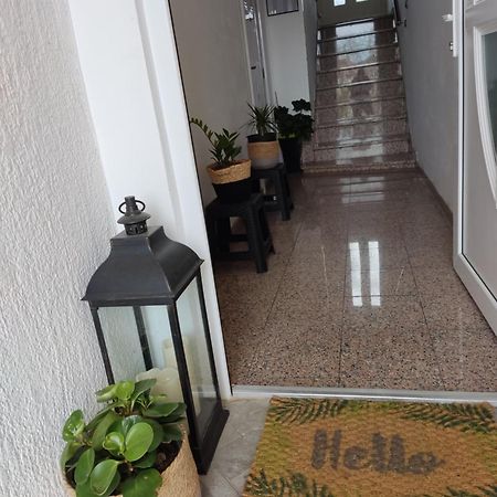 ホテル Dalmati House ブロダリツァ エクステリア 写真