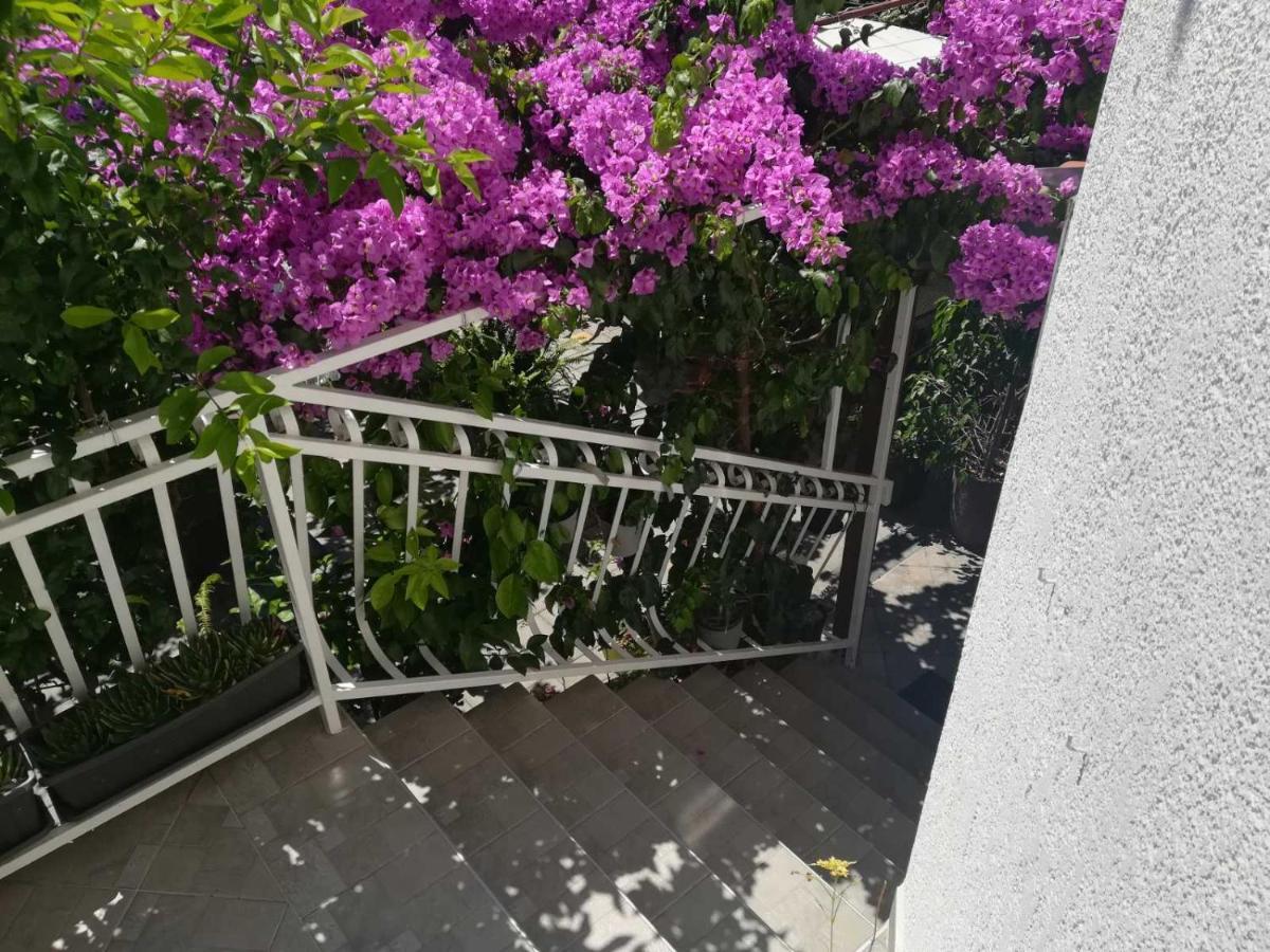 ホテル Dalmati House ブロダリツァ エクステリア 写真