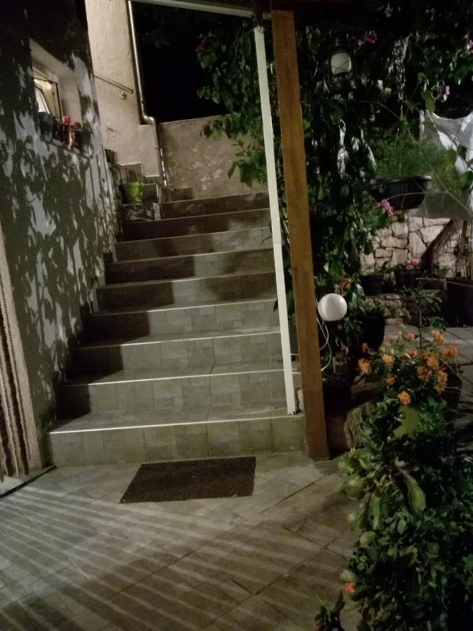 ホテル Dalmati House ブロダリツァ エクステリア 写真