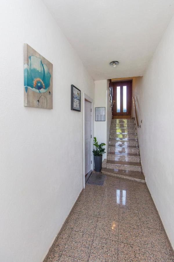 ホテル Dalmati House ブロダリツァ エクステリア 写真