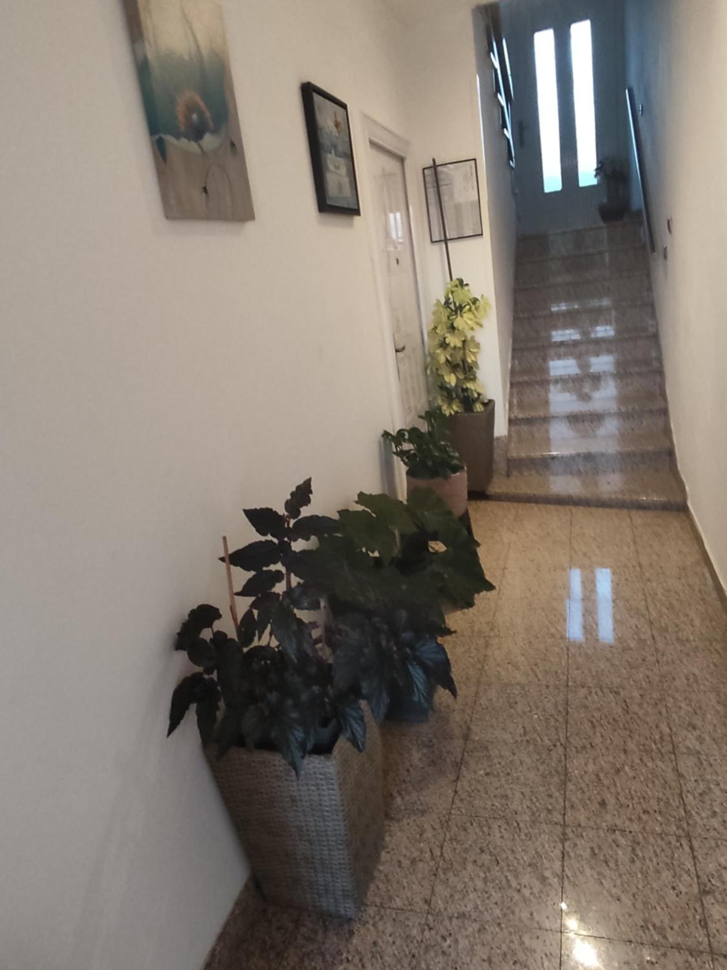 ホテル Dalmati House ブロダリツァ エクステリア 写真