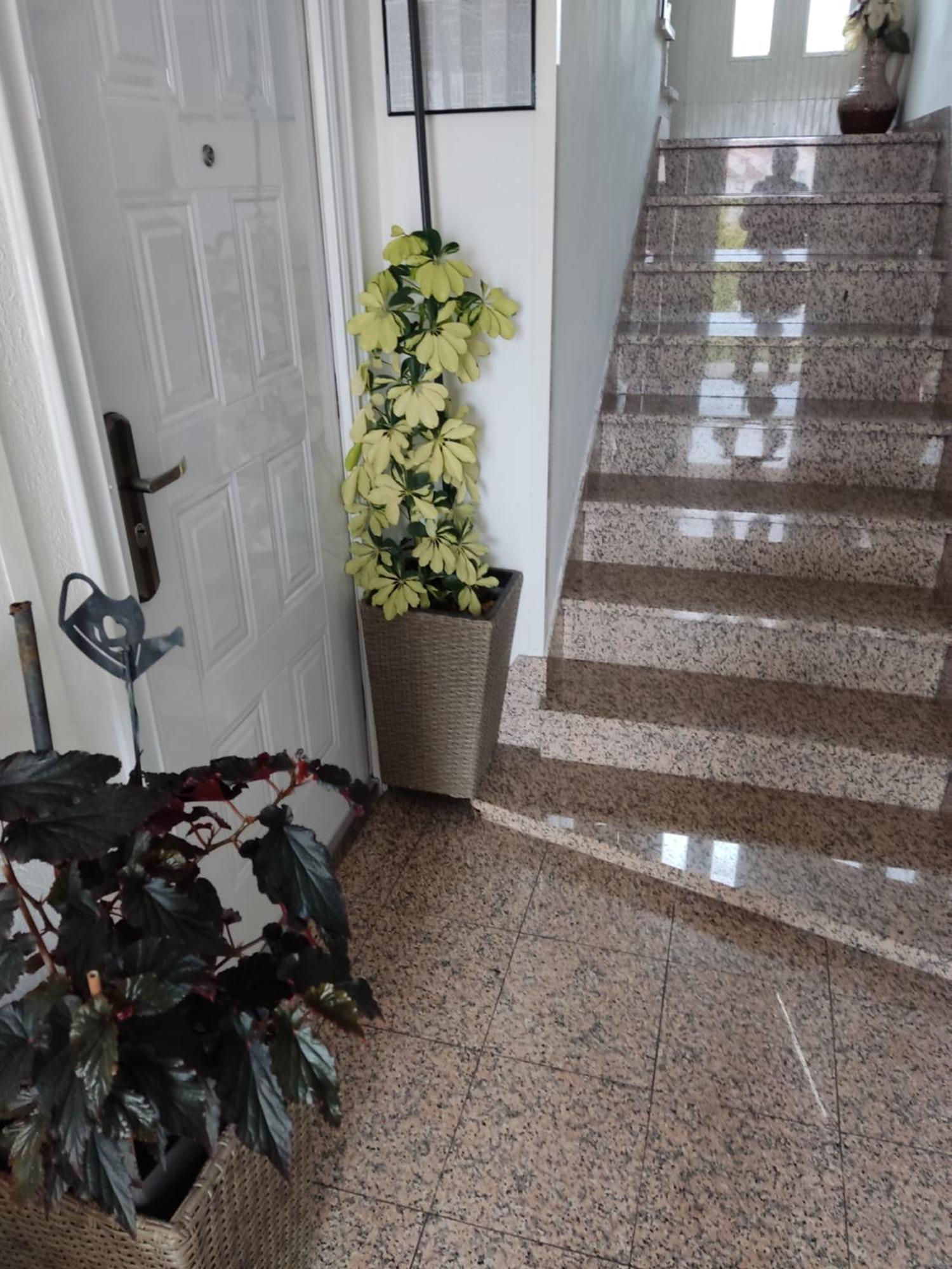 ホテル Dalmati House ブロダリツァ エクステリア 写真